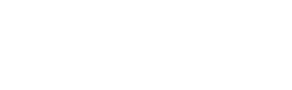 Antifraude